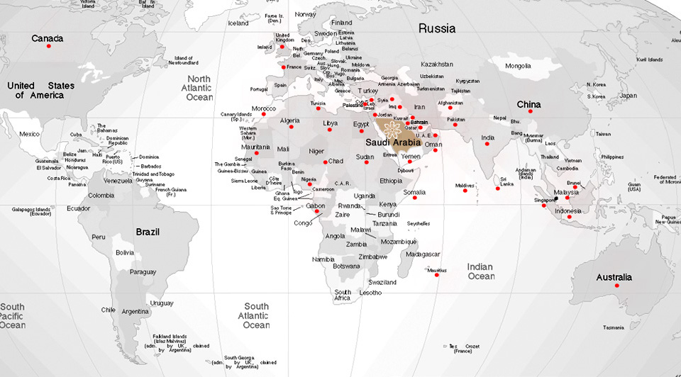 Distributors Network